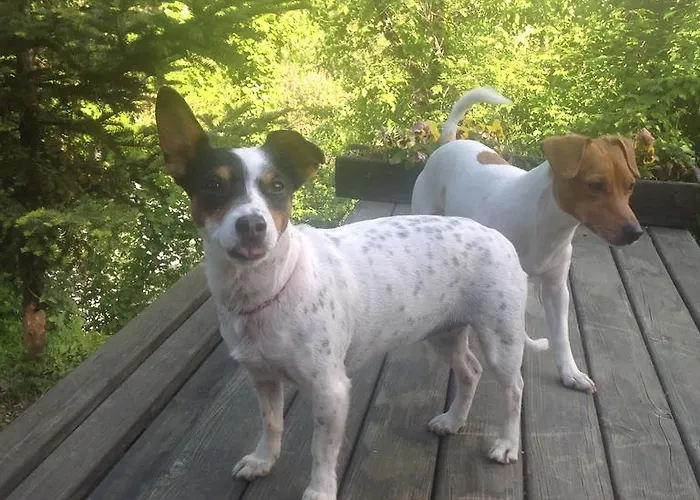 Lydia Lithos Mountain בית הארחה