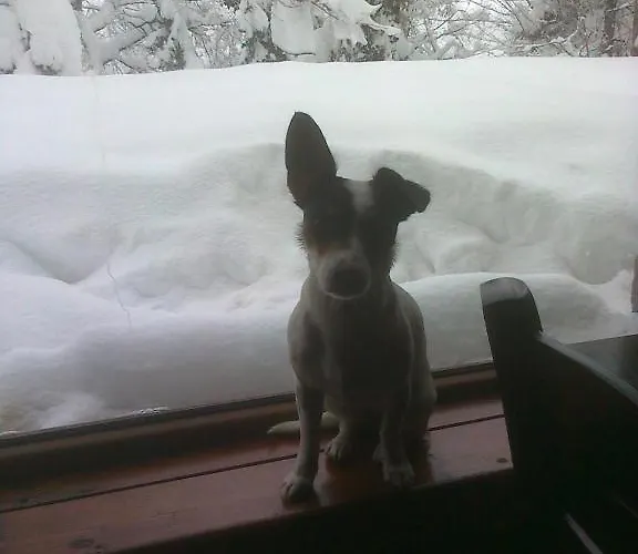 Lydia Lithos Mountain בית הארחה 3*