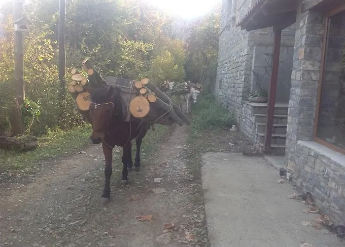 Lydia Lithos Mountain בית הארחה 3*