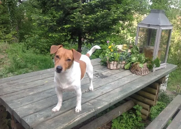 Lydia Lithos Mountain מטמורפוסי